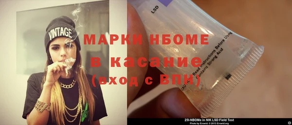 прущие грибы Алзамай