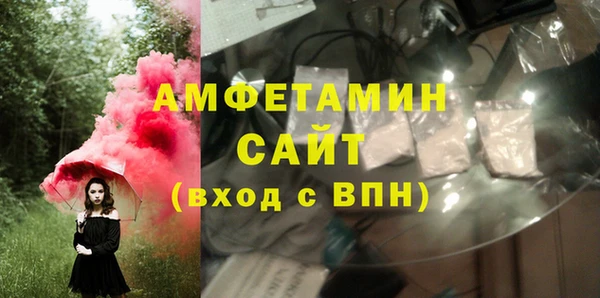 прущие грибы Алзамай