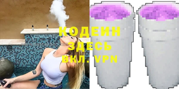 прущие грибы Алзамай
