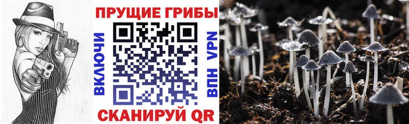 Псилоцибиновые грибы Cubensis hydra рабочий сайт Билибино