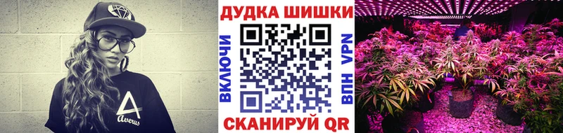 Конопля сатива  Билибино 
